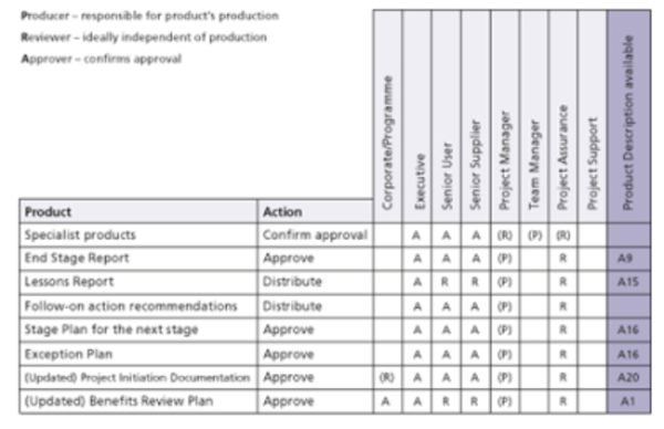 directing a project exception plan diagram 2