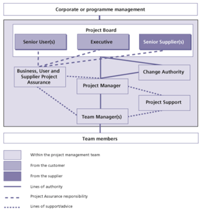 project managenent team structure large