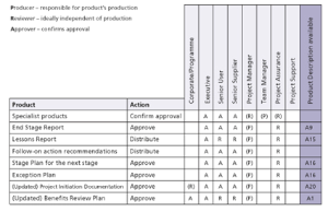 directing a project exception plan diagram 2 small