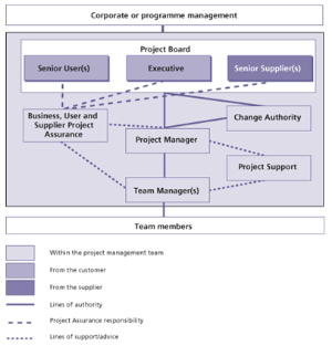 project managenent team structure small