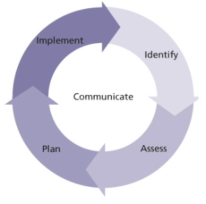 risk management procedure small